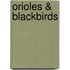 Orioles & Blackbirds
