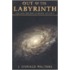Out Of The Labyrinth