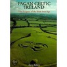Pagan Celtic Ireland door Barry Raftery
