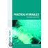 Practical Hydraulics