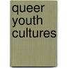 Queer Youth Cultures by Susan Driver