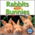 Rabbits Have Bunnies