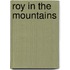 Roy In The Mountains