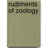 Rudiments of Zoology