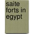 Saite Forts In Egypt