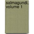 Salmagundi, Volume 1