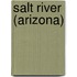 Salt River (Arizona)