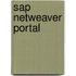 Sap Netweaver Portal