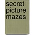 Secret Picture Mazes