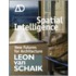 Spatial Intelligence