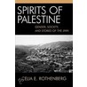 Spirits Of Palestine by Celia Rothenberg