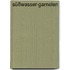 Süßwasser-Garnelen