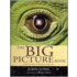 The Big Picture Book