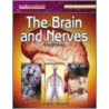 The Brain and Nerves door Christine Webster