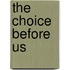 The Choice Before Us