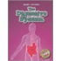 The Digestive System