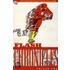 The Flash Chronicles