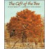 The Gift of the Tree