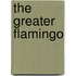 The Greater Flamingo