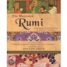 The Illustrated Rumi door Philip Dunn