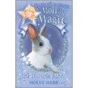 The Invisible Rabbit door Holly Webb