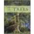 The Meaning of Trees