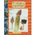 The Mighty Asparagus