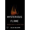 The Mysterious Flame door Colin McGinn