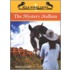 The Mystery Stallion