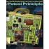The Potosi Principle
