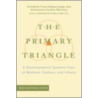 The Primary Triangle door Elizabeth Fivaz-Depeur