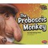 The Proboscis Monkey