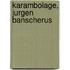 Karambolage, Jurgen Banscherus