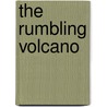 The Rumbling Volcano door Nabeel Jabbour