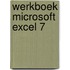 Werkboek Microsoft Excel 7