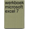 Werkboek Microsoft Excel 7 by Dick Knetsch