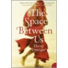 The Space Between Us by Thrity Umrigar