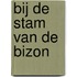 Bij de stam van de bizon