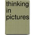 Thinking in Pictures