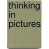 Thinking in Pictures door John Sayles