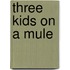 Three Kids on a Mule