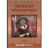 Van pup tot volwassen hond