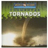 Tornados = Tornadoes door Jim Mezzanotte