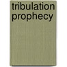 Tribulation Prophecy door John Stoudenmire