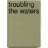 Troubling The Waters