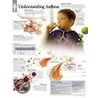 Understanding Asthma door Scientific Publishing Ltd.