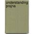Understanding Prajna