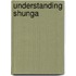 Understanding Shunga