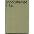 Undocumented in L.A.
