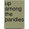 Up Among The Pandies door Onbekend